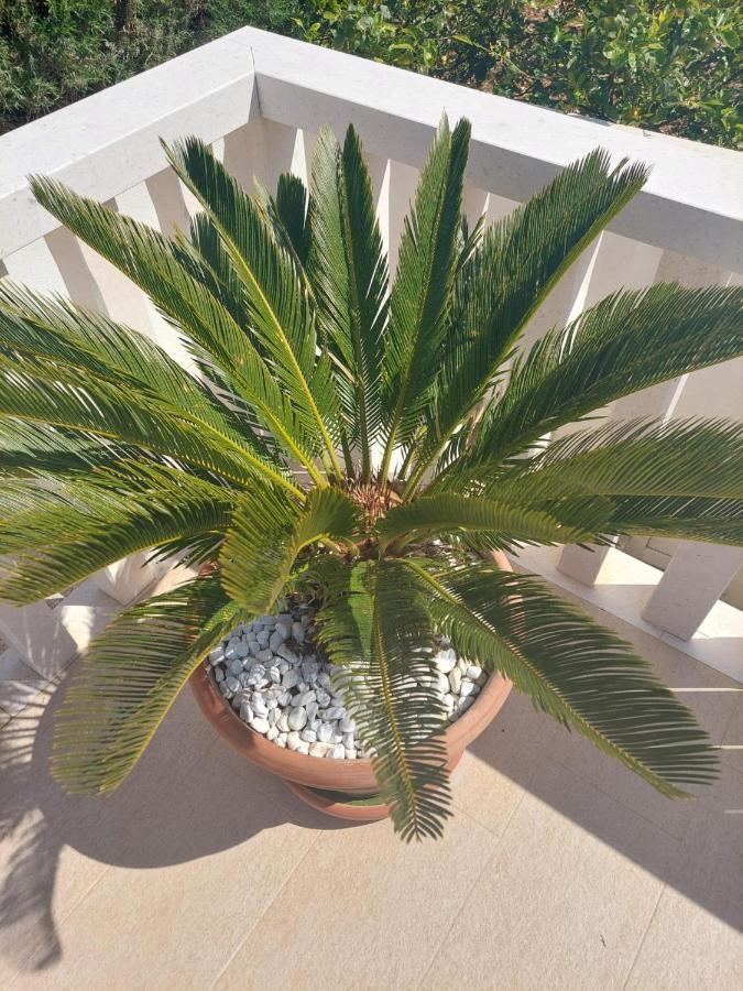 Apartments Zulim Trogir Exterior photo